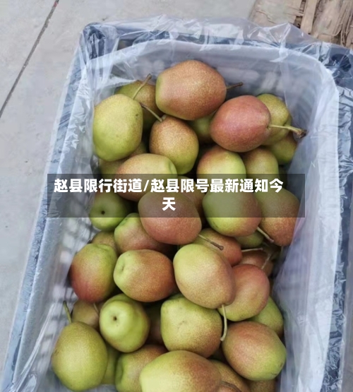 赵县限行街道/赵县限号最新通知今天-第2张图片