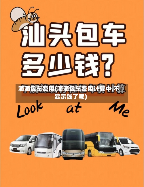 滴滴包车费用(滴滴包车费用计算中,不显示钱了呢)