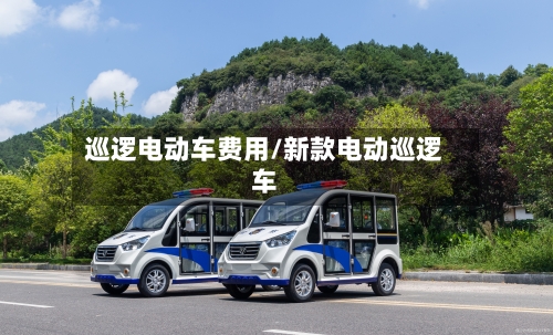 巡逻电动车费用/新款电动巡逻车-第3张图片