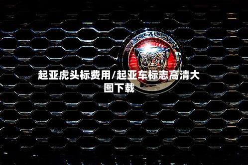 起亚虎头标费用/起亚车标志高清大图下载-第2张图片