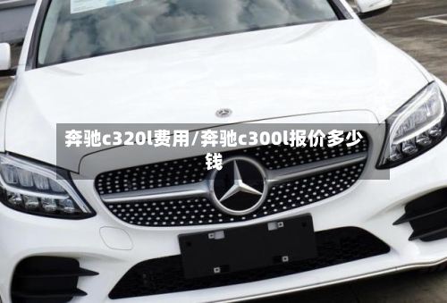 奔驰c320l费用/奔驰c300l报价多少钱
