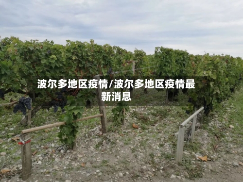 波尔多地区疫情/波尔多地区疫情最新消息-第2张图片