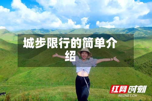 城步限行的简单介绍-第2张图片