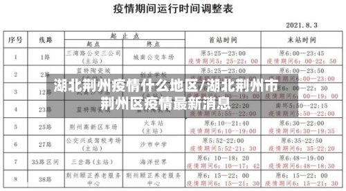 湖北荆州疫情什么地区/湖北荆州市荆州区疫情最新消息-第2张图片
