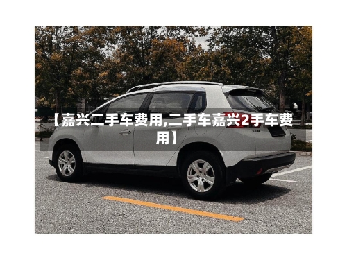 【嘉兴二手车费用,二手车嘉兴2手车费用】