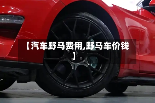 【汽车野马费用,野马车价钱】-第2张图片