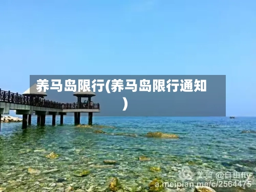 养马岛限行(养马岛限行通知)