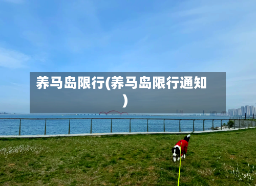 养马岛限行(养马岛限行通知)-第2张图片