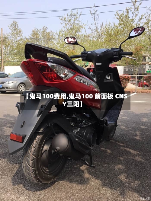 【鬼马100费用,鬼马100 前面板 CNSY三阳】-第2张图片