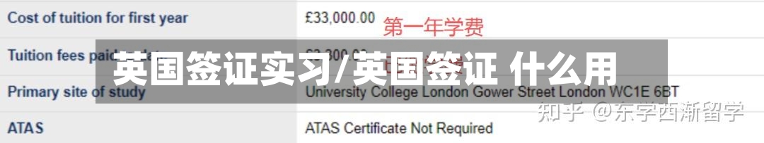 英国签证实习/英国签证 什么用-第2张图片