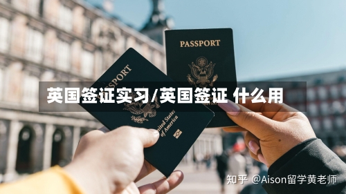 英国签证实习/英国签证 什么用