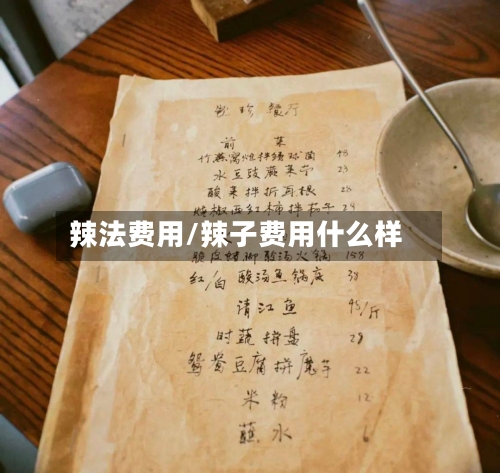 辣法费用/辣子费用什么样