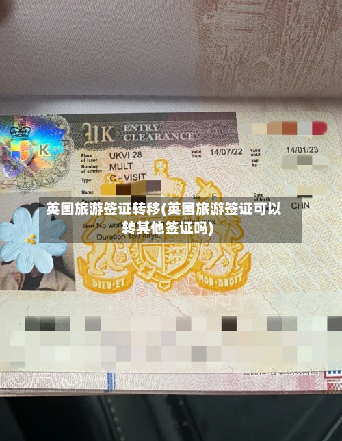 英国旅游签证转移(英国旅游签证可以转其他签证吗)-第3张图片