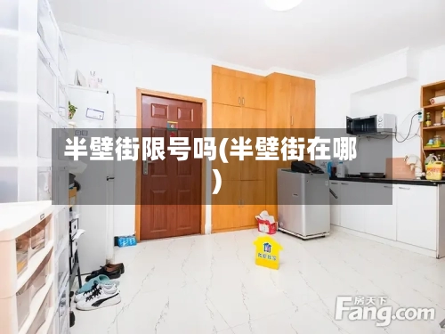 半壁街限号吗(半壁街在哪)-第2张图片