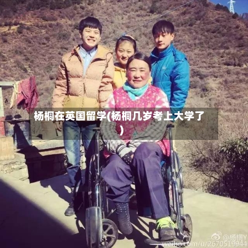 杨桐在英国留学(杨桐几岁考上大学了)