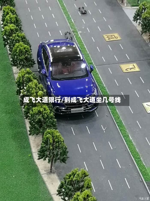成飞大道限行/到成飞大道坐几号线
