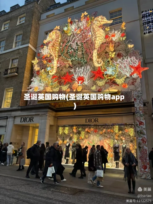 圣诞英国购物(圣诞英国购物app)