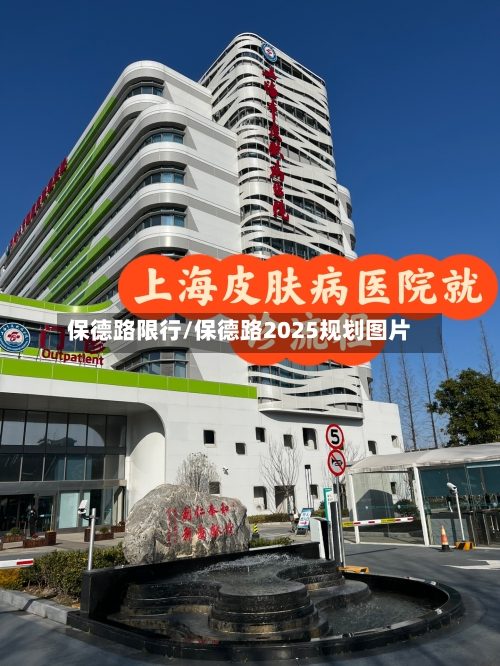 保德路限行/保德路2025规划图片
