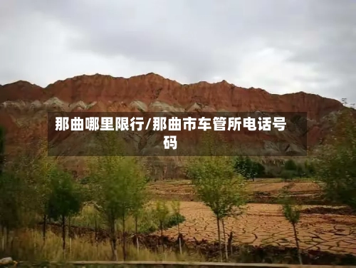 那曲哪里限行/那曲市车管所电话号码