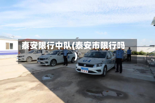 泰安限行中队(泰安市限行吗)-第3张图片