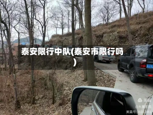 泰安限行中队(泰安市限行吗)-第2张图片