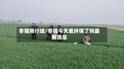 枣强限行域/枣强今天查环保了吗最新消息-第2张图片