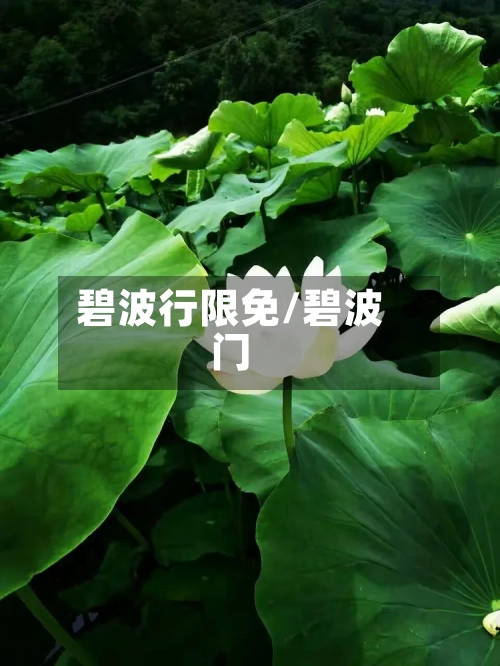 碧波行限免/碧波门-第2张图片