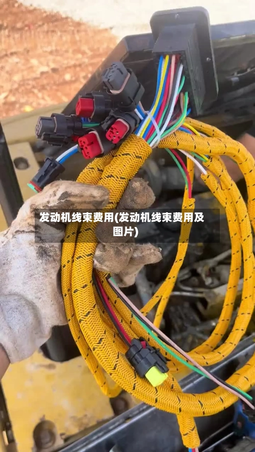 发动机线束费用(发动机线束费用及图片)-第2张图片