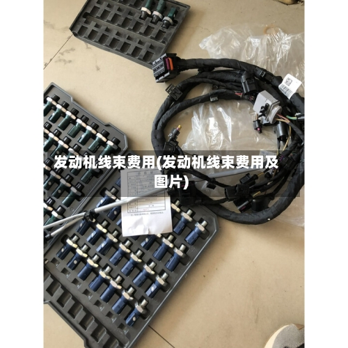 发动机线束费用(发动机线束费用及图片)-第3张图片