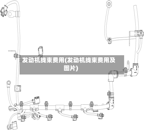 发动机线束费用(发动机线束费用及图片)