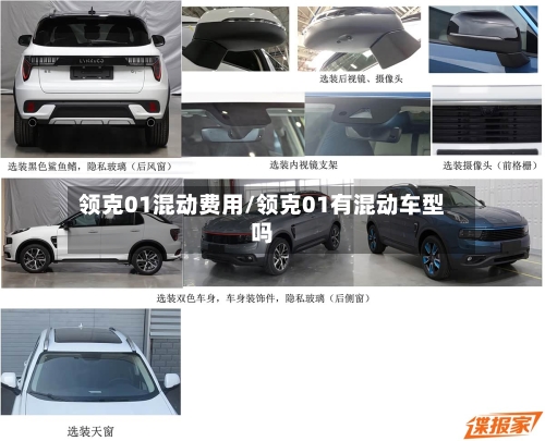 领克01混动费用/领克01有混动车型吗-第2张图片
