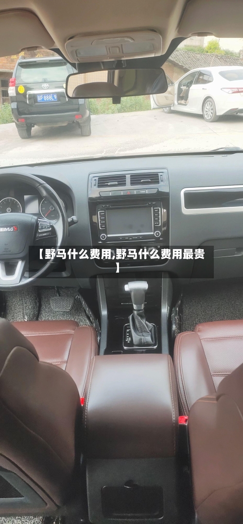 【野马什么费用,野马什么费用最贵】