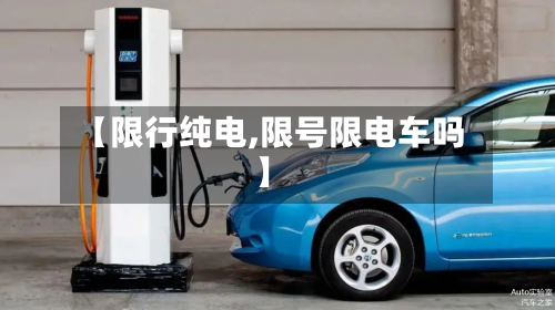 【限行纯电,限号限电车吗】-第3张图片