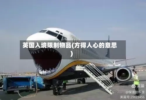 英国入境限制物品(方得人心的意思)-第3张图片