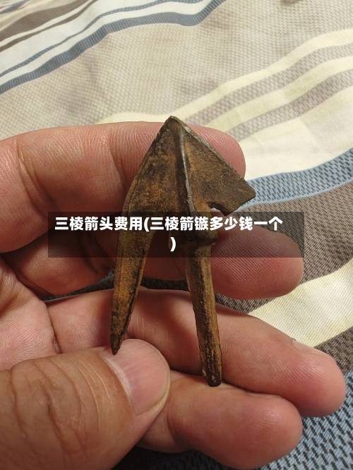 三棱箭头费用(三棱箭镞多少钱一个)