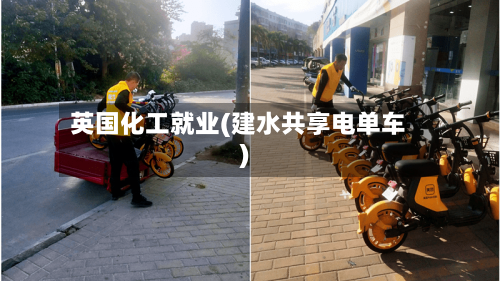 英国化工就业(建水共享电单车)-第2张图片