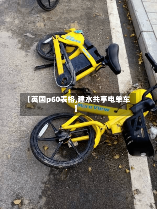 【英国p60表格,建水共享电单车】