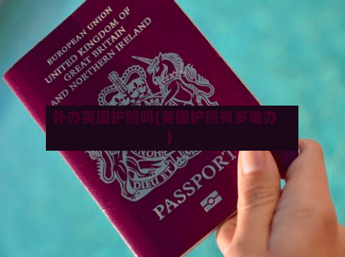 补办英国护照吗(英国护照有多难办)