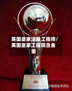 英国皇家注册工程师/英国皇家工程院含金量-第3张图片