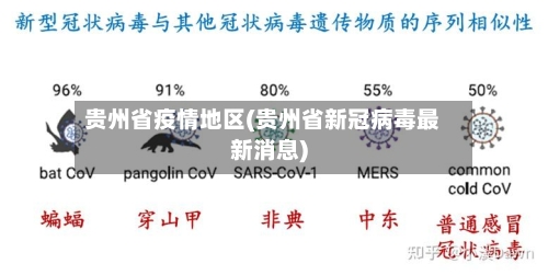 贵州省疫情地区(贵州省新冠病毒最新消息)