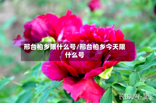 邢台柏乡限什么号/邢台柏乡今天限什么号