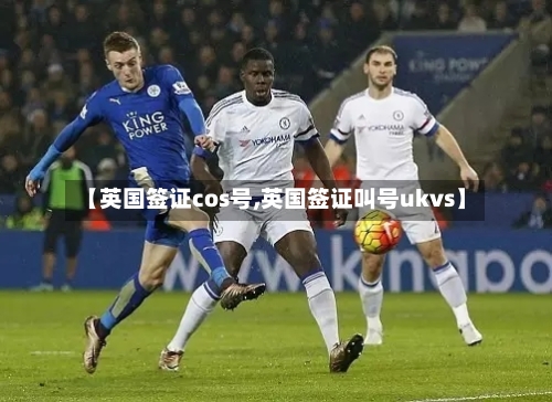 【英国签证cos号,英国签证叫号ukvs】-第2张图片