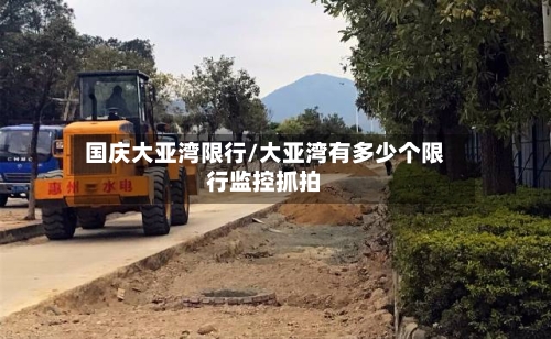 国庆大亚湾限行/大亚湾有多少个限行监控抓拍