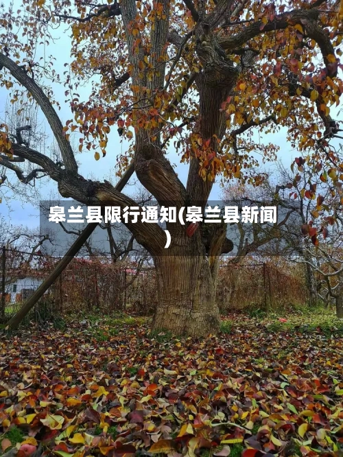 皋兰县限行通知(皋兰县新闻)