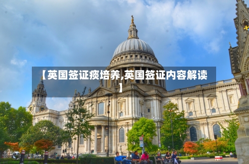 【英国签证痰培养,英国签证内容解读】-第2张图片