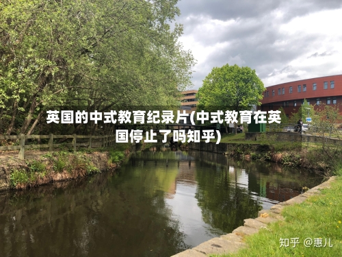 英国的中式教育纪录片(中式教育在英国停止了吗知乎)
