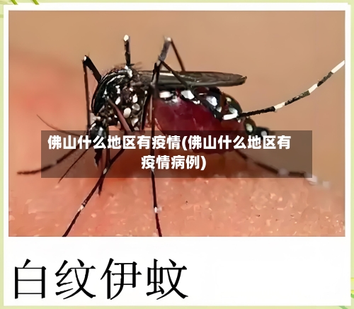 佛山什么地区有疫情(佛山什么地区有疫情病例)