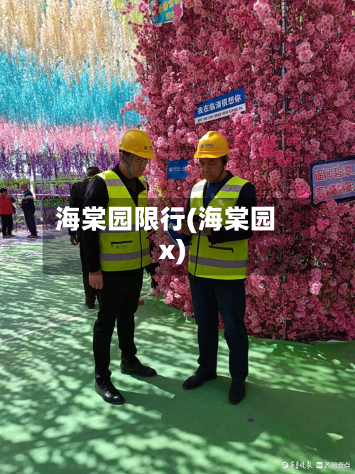 海棠园限行(海棠园x)-第2张图片