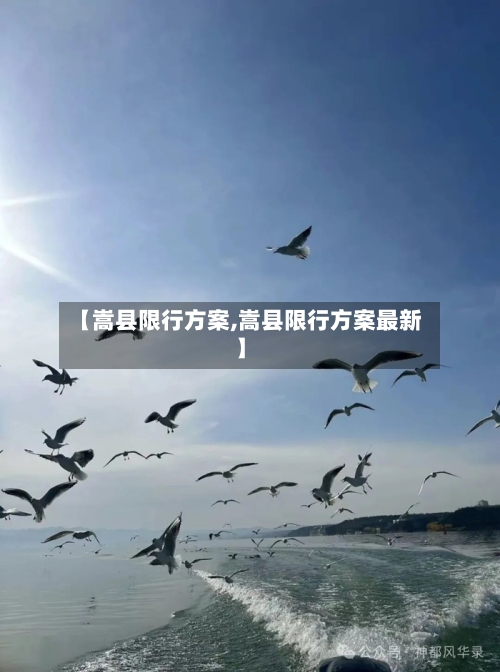 【嵩县限行方案,嵩县限行方案最新】