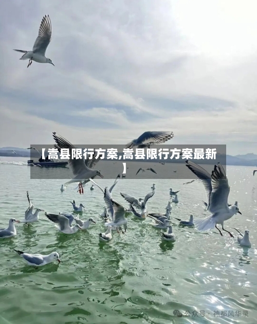 【嵩县限行方案,嵩县限行方案最新】-第3张图片